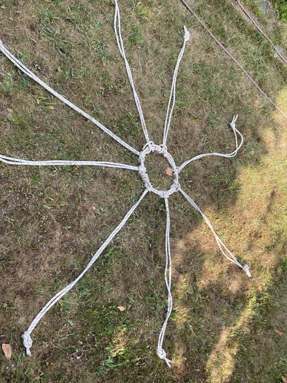 Ein Seilstern auf der Wiese