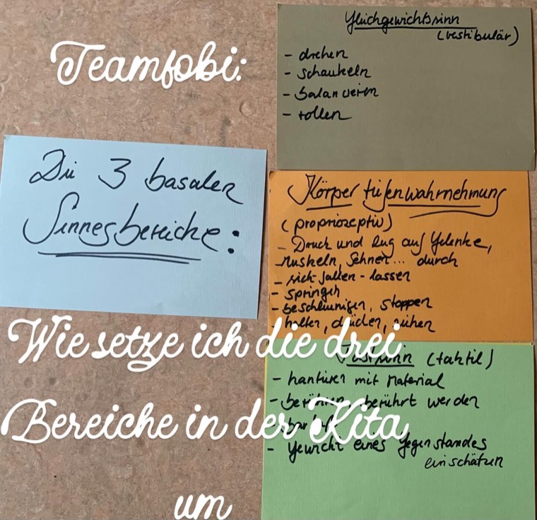 Teamfortbildung: die drei basalen Sinnesbereiche