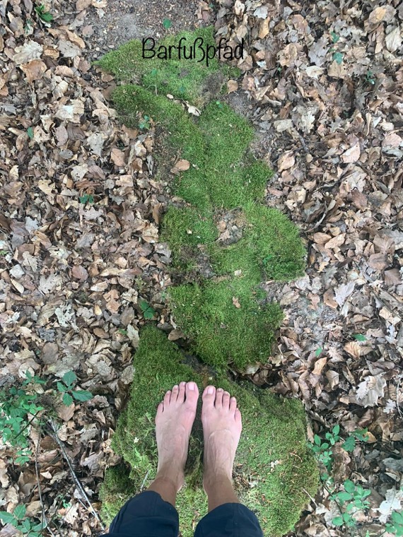 Barfußpfad aus Moos